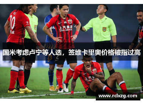 国米考虑卢宁等人选，签维卡里奥价格被指过高